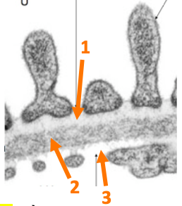 Capture d’écran 2019-12-10 à 09.43.57.png