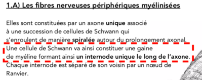 Capture d’écran 2019-12-10 à 10.36.35.png
