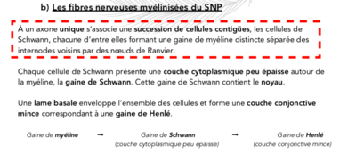 Capture d’écran 2019-12-10 à 10.36.06.png