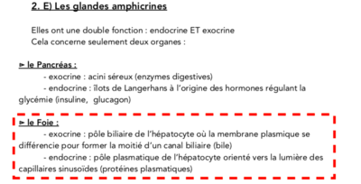Capture d’écran 2019-12-10 à 10.43.45.png