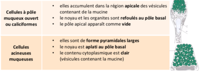 Capture d’écran 2019-12-10 à 10.52.52.png