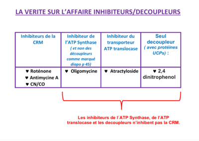 Capture d’écran 2019-12-10 à 14.19.21.png
