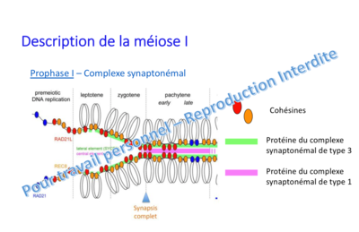 Capture d’écran 2019-12-10 à 15.25.35.png
