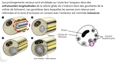 Capture d’écran 2019-12-11 à 11.45.36.png