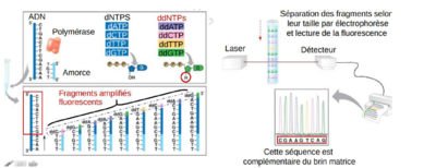 Annotation 2019-12-11 133938.png