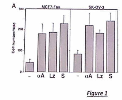 Capture d’écran 2019-12-13 à 00.27.21.png