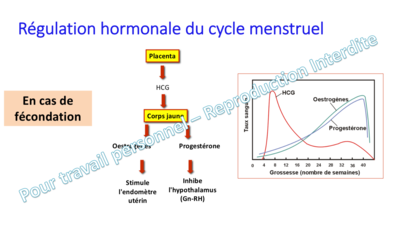 Capture d’écran 2019-12-15 à 17.36.46.png