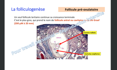 Capture d’écran 2019-12-16 à 15.00.31.png