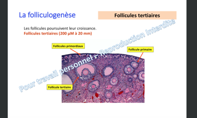 Capture d’écran 2019-12-16 à 15.00.23.png
