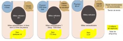 Annotation 2020-01-12 120056.png