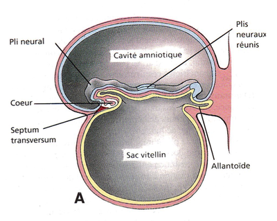 Capture d’écran 2011-10-23 à 20.02.07.png