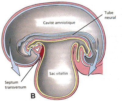 Capture d’écran 2011-10-23 à 20.06.16.png