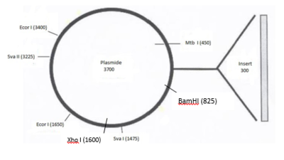 Mauvaise carte que vous avez eu au CCB.PNG