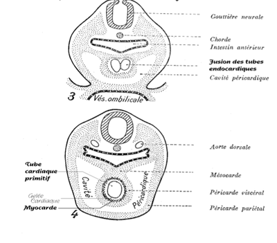 Capture d’écran 2011-10-27 à 19.24.01.png