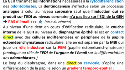 Capture d’écran 2020-02-05 à 09.59.57.png