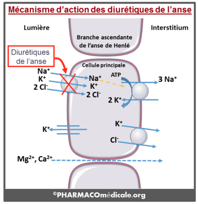 Capture d’écran 2020-02-06 à 11.02.36.png
