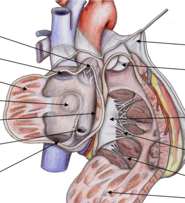 Capture d’écran 2020-02-06 à 15.14.36.png