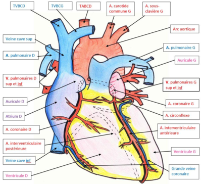 Capture d’écran 2020-02-06 à 16.34.10.png