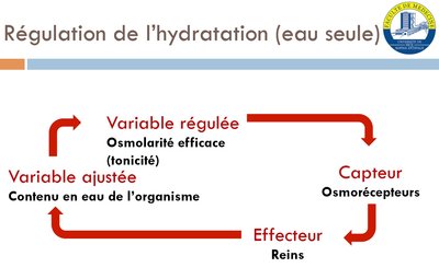 2020-02-09 (4)_LI.jpg