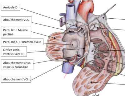 Capture d’écran 2020-02-09 à 15.46.36.png