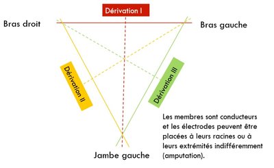 2020-02-06 (23)_LI.jpg