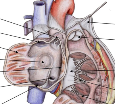 Capture d’écran 2020-02-11 à 22.57.11.png