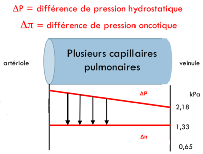 Capture d’écran 2019-12-08 à 08.47.26.png