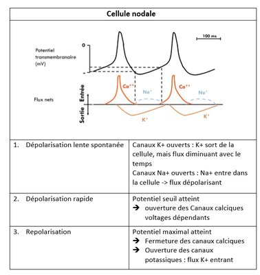 2020-02-21 (5)_LI.jpg