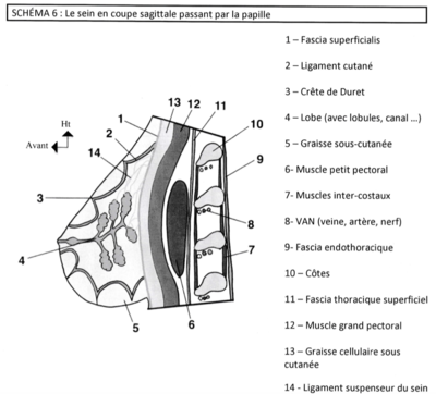 Capture d’écran 2020-02-11 à 11.44.56.png