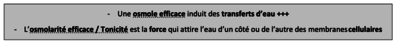 Capture d’écran 2020-02-28 à 08.52.43.png