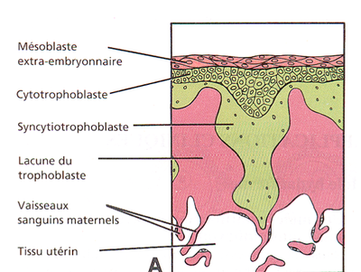 Capture d’écran 2011-11-01 à 16.47.41.png