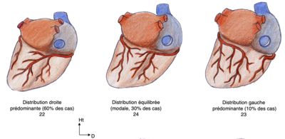 Capture d’écran 2020-03-02 à 21.00.26.png