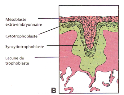 Capture d’écran 2011-11-01 à 16.50.03.png