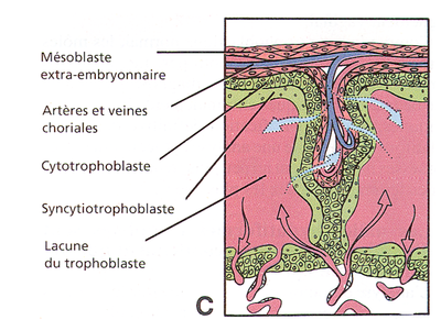 Capture d’écran 2011-11-01 à 16.51.33.png