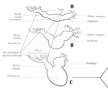 Capture d’écran 2011-11-01 à 17.56.52.png