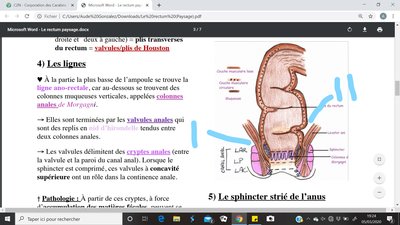 Capture d’écran (14)_LI.jpg