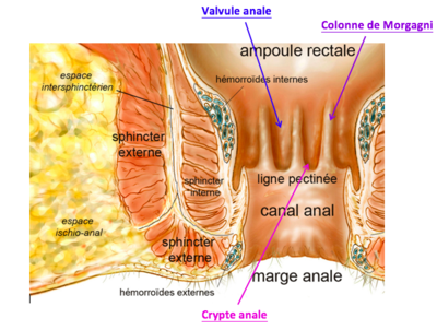 Capture d’écran 2020-03-05 à 21.29.35.png