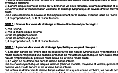 Capture d’écran 2020-03-09 à 11.30.12.png