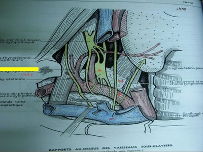 anse sous clavière.jpg
