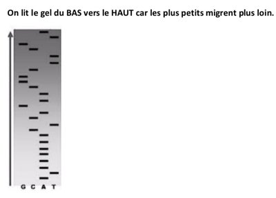 F1F52986-386C-4D00-907D-D0278B17EC3D.jpeg (28.07 Kio) Vu 165 fois F1F52986-386C-4D00-907D-D0278B17EC3D.jpeg