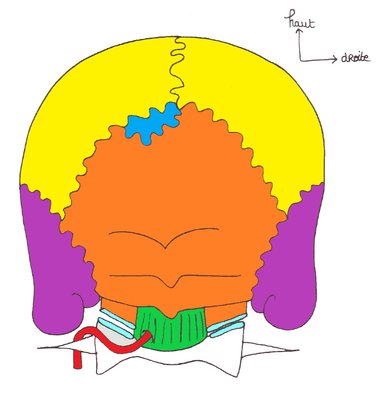 Crâne vue post paint.jpg
