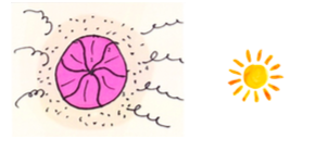 Capture d’écran 2020-03-20 à 15.43.44.png