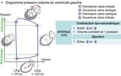 2020-03-23 (5)_LI.jpg