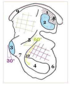 Capture d’écran 2020-03-24 à 13.46.16.png