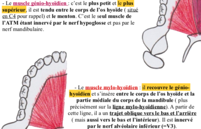 Capture d’écran 2020-03-26 à 13.04.11.png