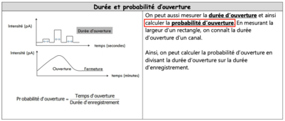 Capture d’écran 2020-03-28 à 11.24.16.png