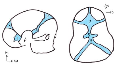 IMG_20200314_0006 - Copie.jpg