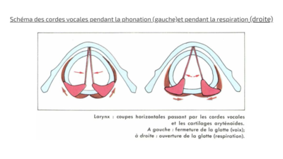 Screenshot 2020-03-30 at 19.20.43.png