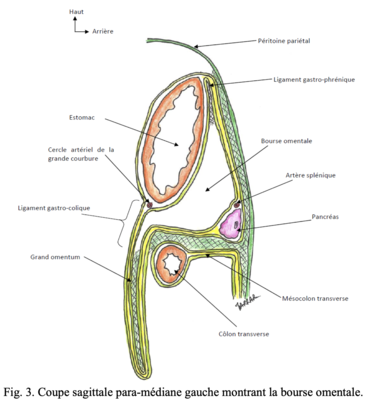 Capture d’écran 2020-04-01 à 19.54.56.png