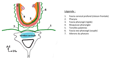Capture d’écran 2020-04-02 à 16.33.38.png